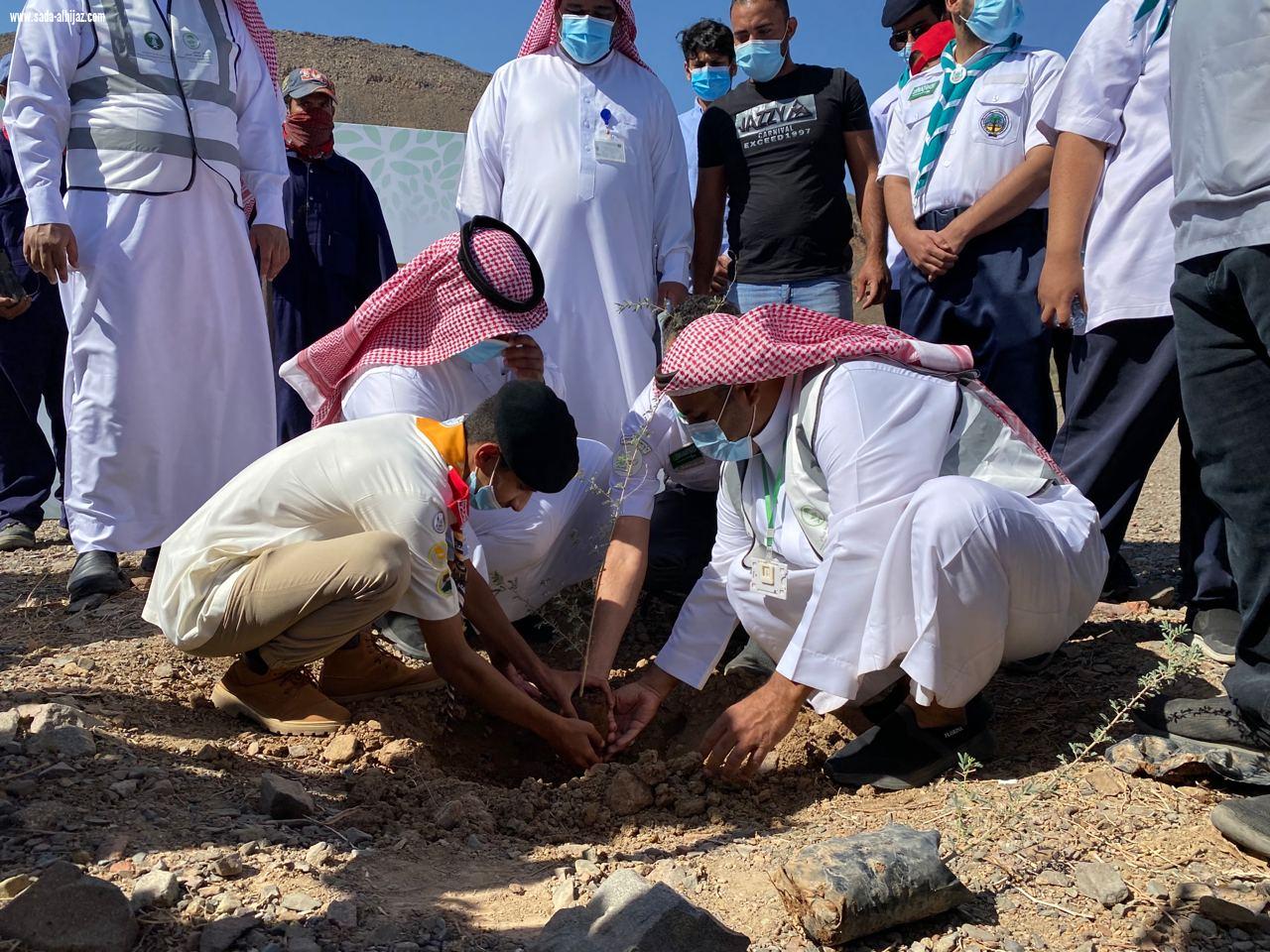 *فرع  وزارة البيئة والمياه والزراعة بمنطقة المدينة المنورة   يستكمل حمله لنجعلها خضراء في المنتزه الوطني بطريق تبوك بالمدينة المنورة  
