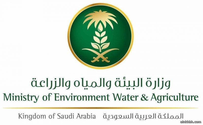 البيئة تختتم دورة هيدرولوجيا المياه السطحية والسدود