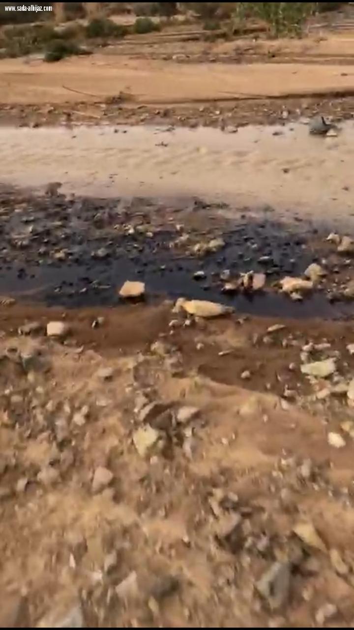 المواد البترولية تغزو وادي سايله 