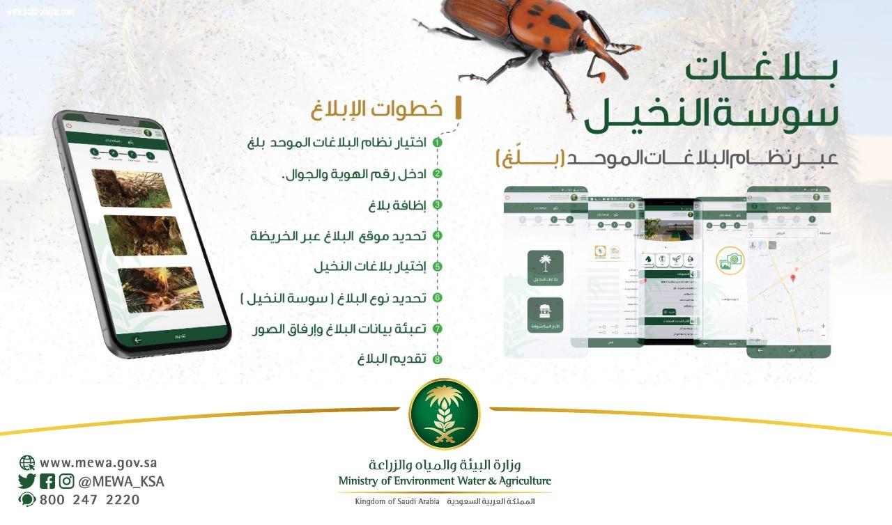 البيئة