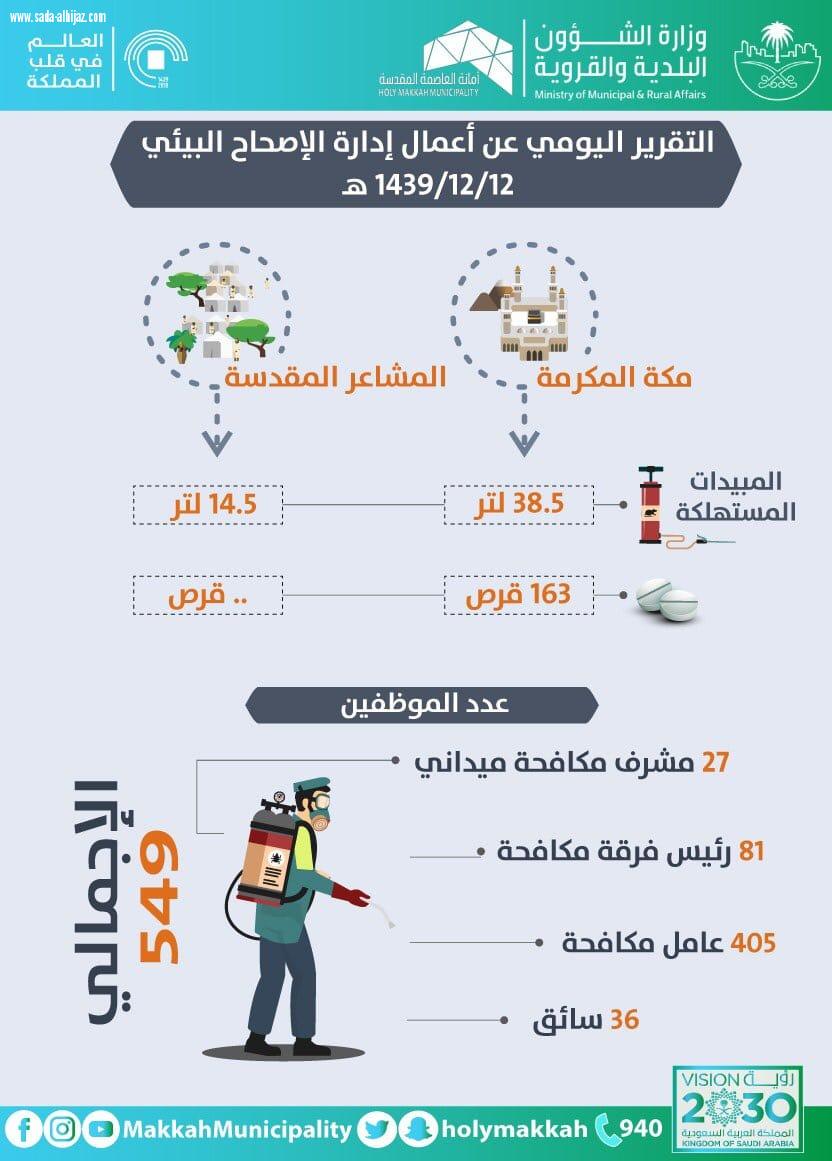 امانة العاصمة تنفذ برامجها بتقارير يومية