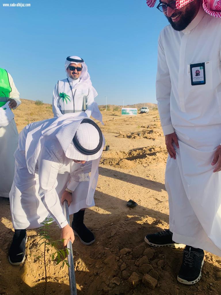 مبادرات تطوعية لتشجير متنزه سيسد الوطني ضمن حملة لنجعلها خضراء