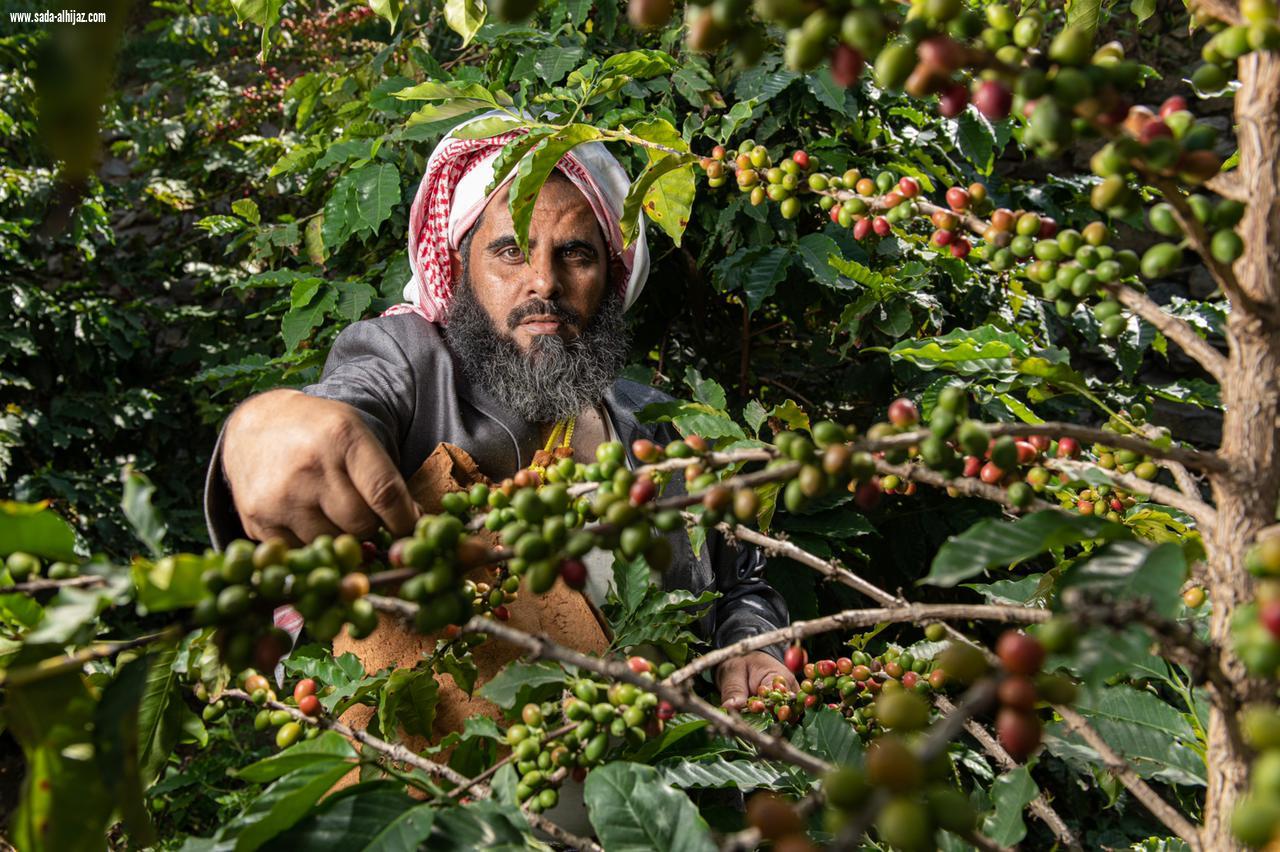 بالصورالبن الخولاني في الداير تاريخ من الأصالة عمره أكثر من 8 قرون 