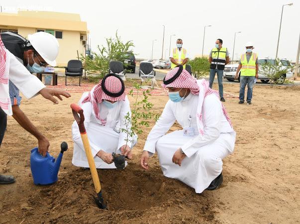 مياه جازان تزرع ٤٠٠٠ شتلة ضمن مبادرة