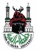 المركز الصيفي الإلكتروني بـجامعة