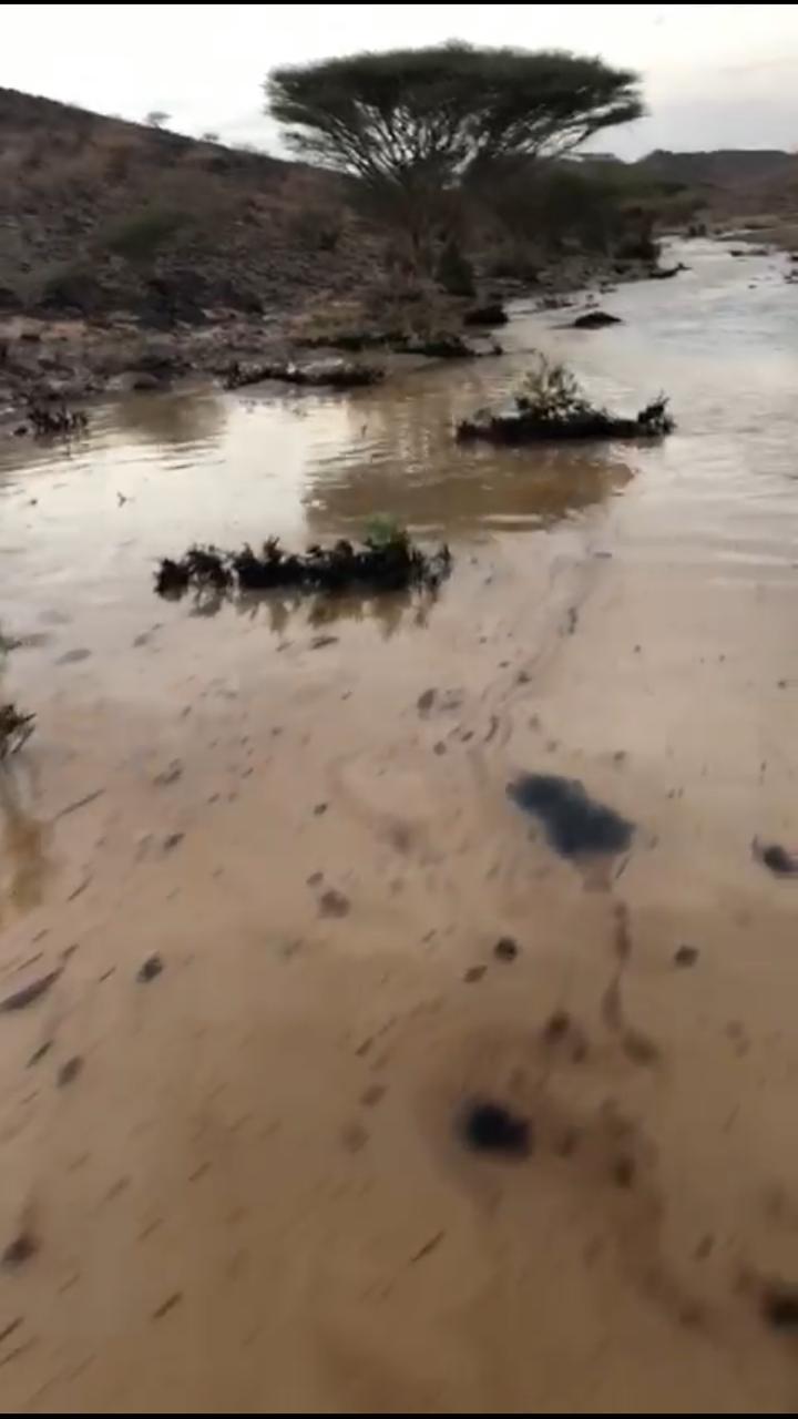 المواد البترولية تغزو وادي سايله 