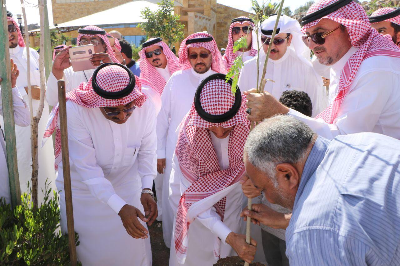 أمين الطائف يدشن حملة اغرسها لتشجير الطائف