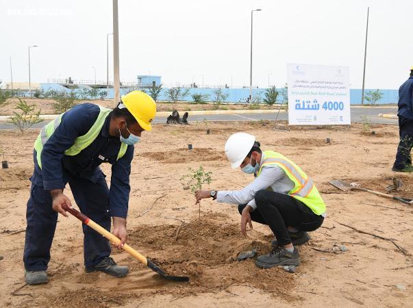 مياه جازان تزرع ٤٠٠٠ شتلة ضمن مبادرة