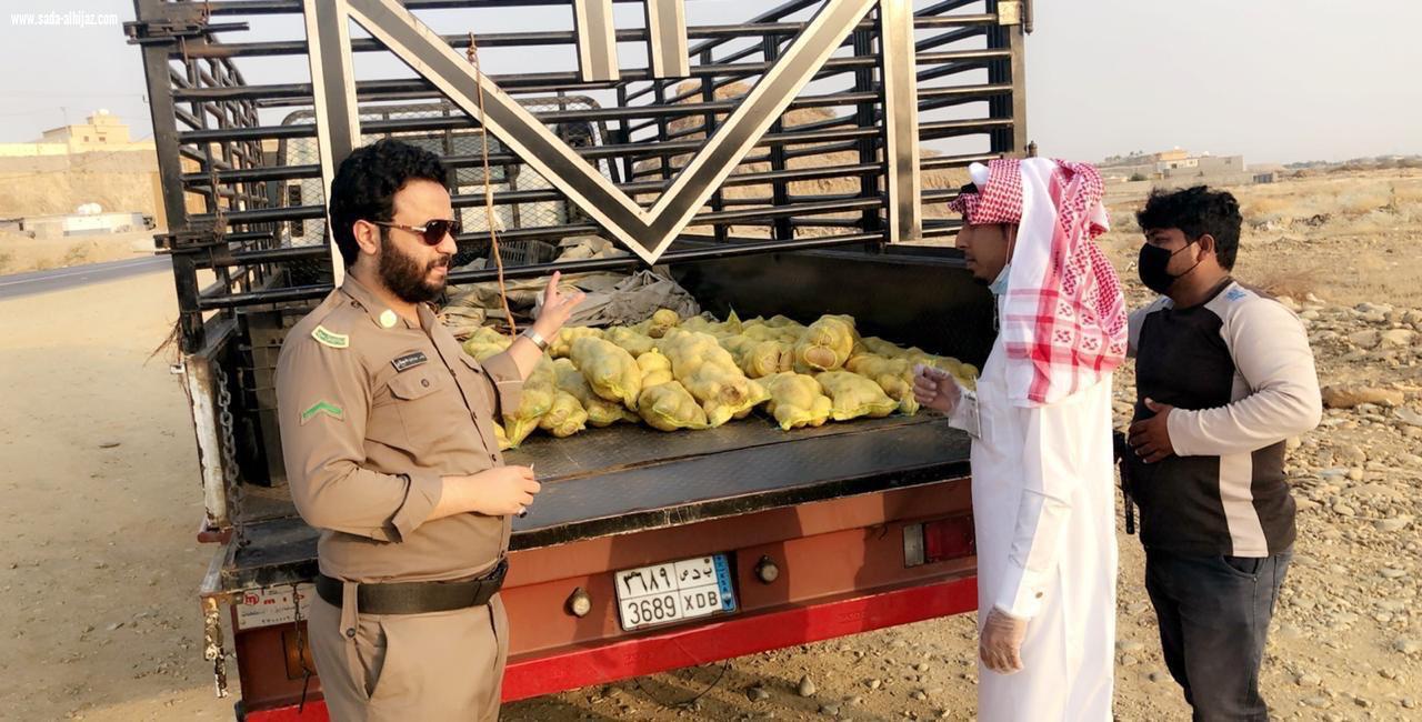 بلدية الدرب تضبط بائع متجول وتصادر 54 كيلو جرام من البطاط الفاسد 