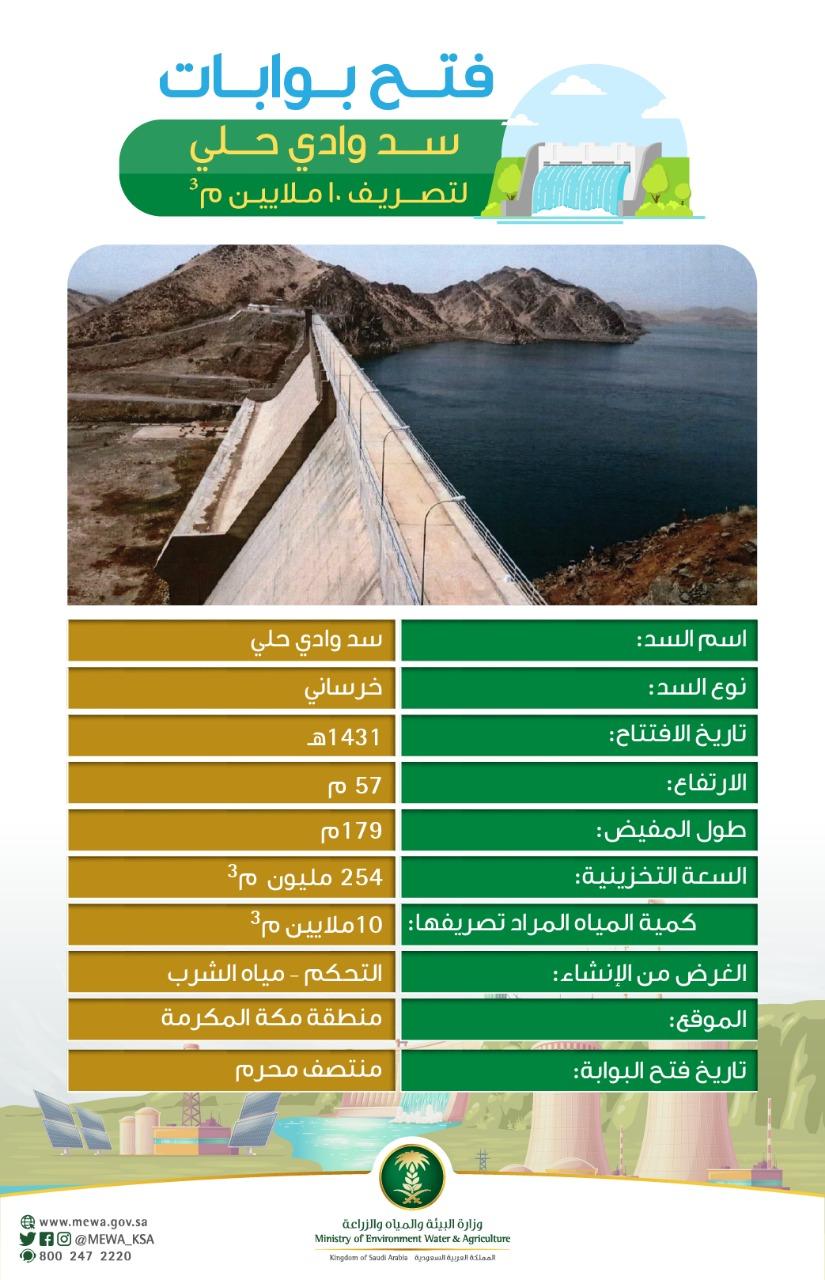 البيئة تستعد لفتح بوابات سد وادي حلي لتصريف 10 ملايين م³ من المياه