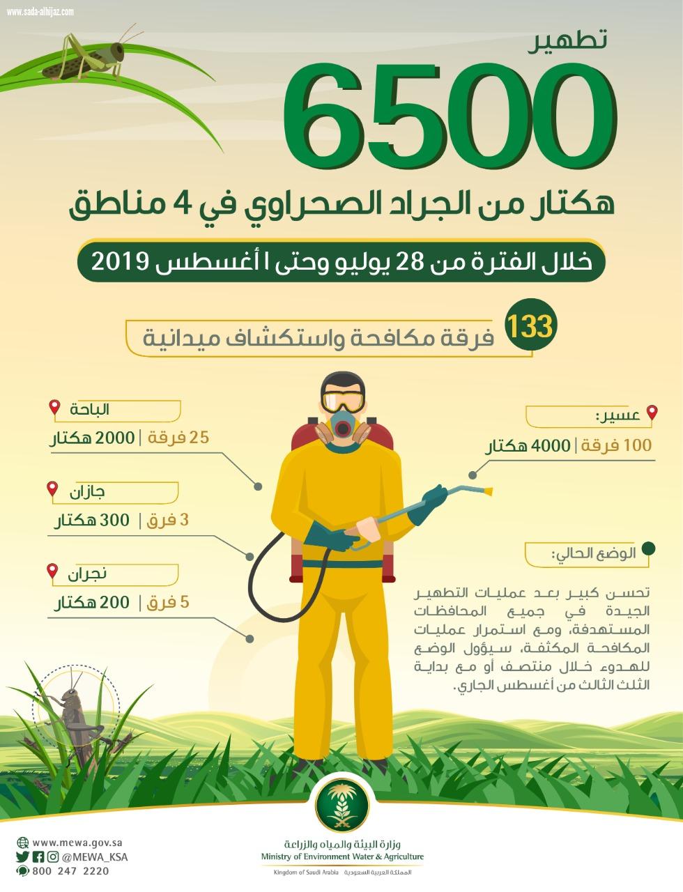 البيئة