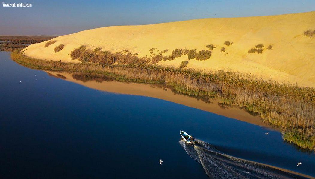 بحيرة الأصفر  بالأحساء.. محمية طبيعية تأوي الطيور المهاجرة