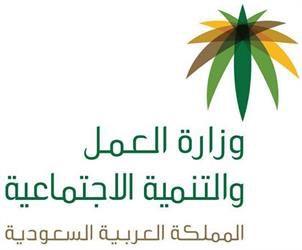 صرف المساعدة المقطوعة لا يؤثر على مستحقات الضمان إعانة الزواج تصرف للأيتام ذوي الاحتياجات الخاصة فقط. 