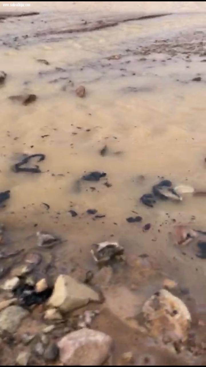المواد البترولية تغزو وادي سايله 