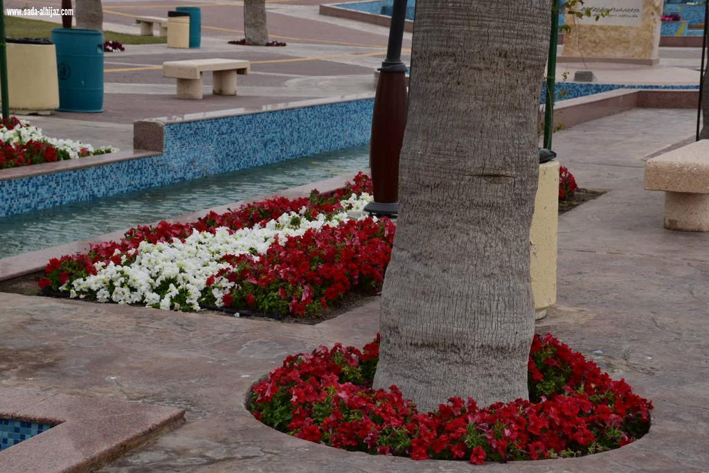 أمانة الشرقية: الواجهة البحرية بالخبر تتضمن معلما حضاريا يجذب أهالي وزوار المنطقة