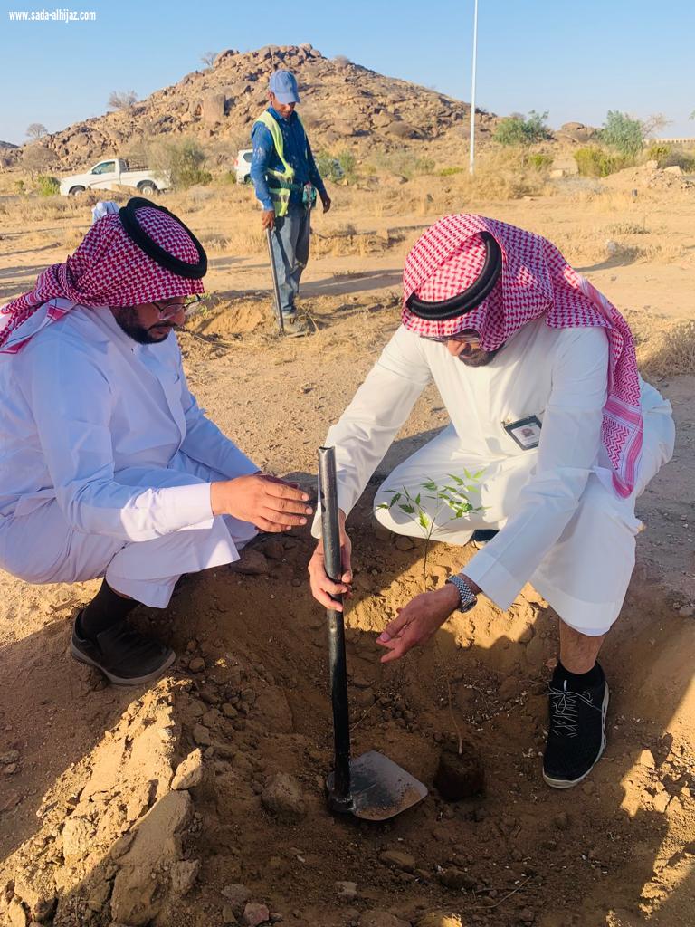 مبادرات تطوعية لتشجير متنزه سيسد الوطني ضمن حملة لنجعلها خضراء