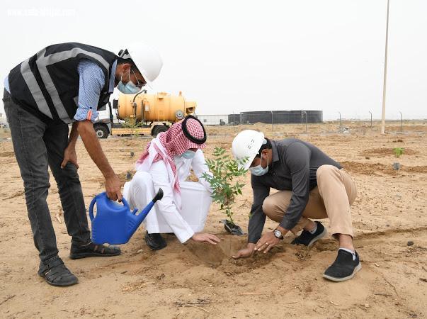 مياه جازان تزرع ٤٠٠٠ شتلة ضمن مبادرة