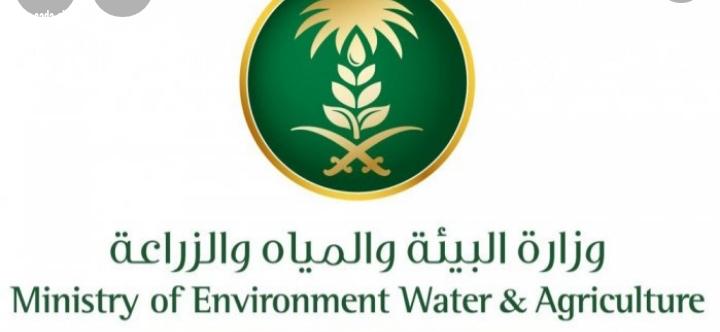 البيئة ترفع الحظر عن استيراد المواشي الحية من جمهورية الصومال
