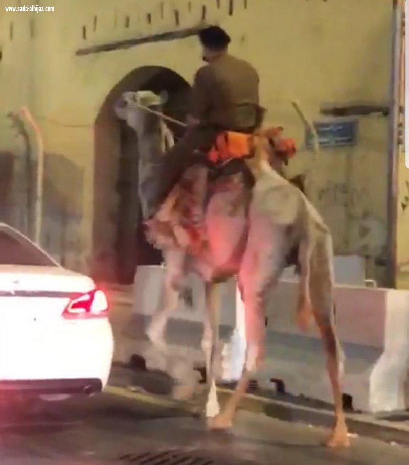 الجهات الأمنية تحقق مع 