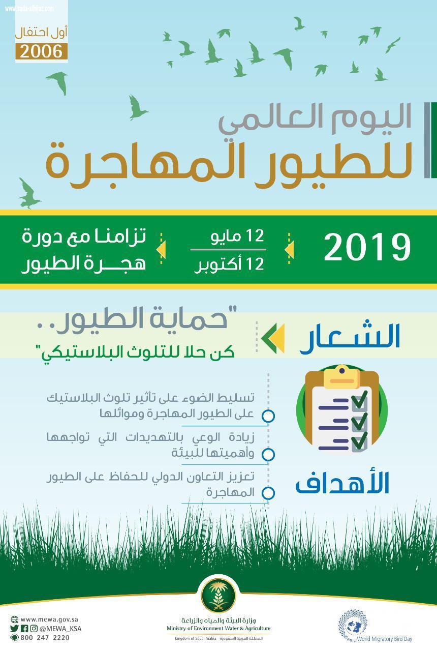 البيئة تشارك العالم في التوعية لحماية الطيور المهاجرة من التلوث البلاستيكي