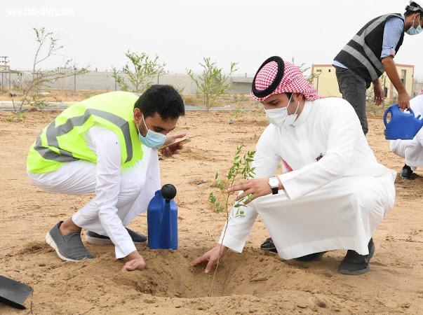 مياه جازان تزرع ٤٠٠٠ شتلة ضمن مبادرة
