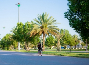تبوك تزدهر بـ 241 حديقة وواجهة بحرية مع نهاية عام 2025  