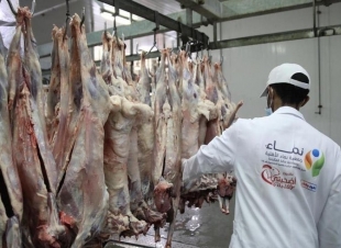نماء