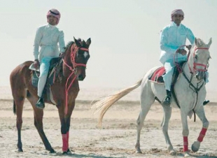جود من السعودية الى العالمية فناً ومكانة