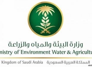 البيئة تعلن بدء تطبيق اللائحة التنفيذية للمواد المستنفدة لطبقة الأوزون ومركبات الكربون الهيدروفلورية في المملكة  